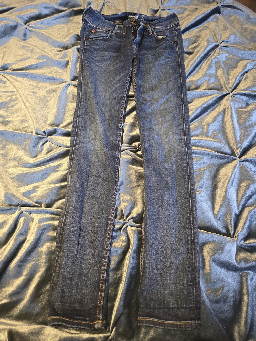 Hudson Jeans Women's Skinny Indigo Dark Wash